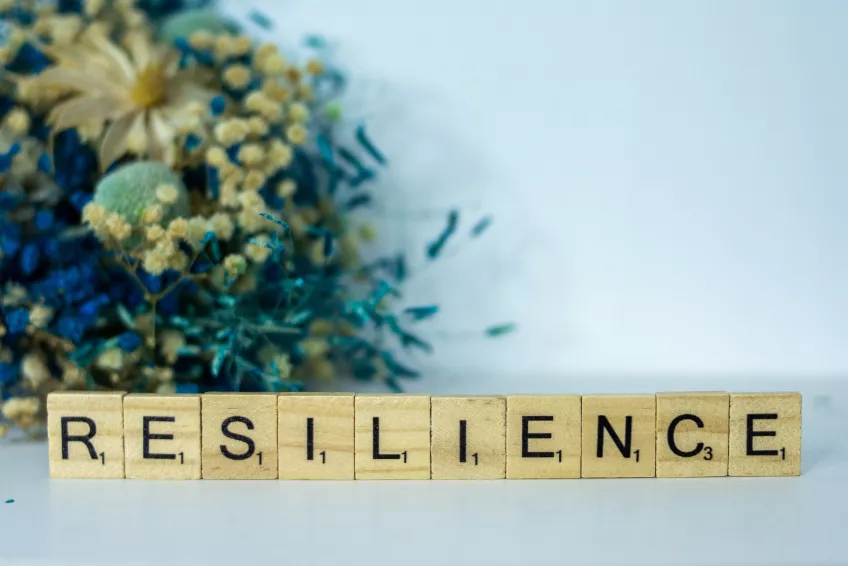 Scrabble single letter tiles forming the word resilience. Photo.